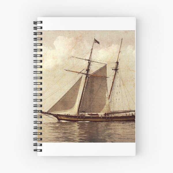 Item preview, Pride of Baltimore on the Chesapeake Bay designed and sold by Timothy Gass.
