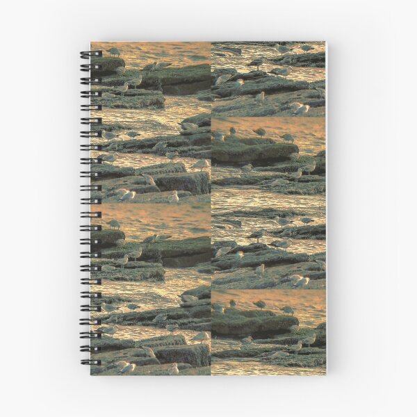 Item preview, Birds & Animals BA144 designed and sold by Hyperion Photoart.