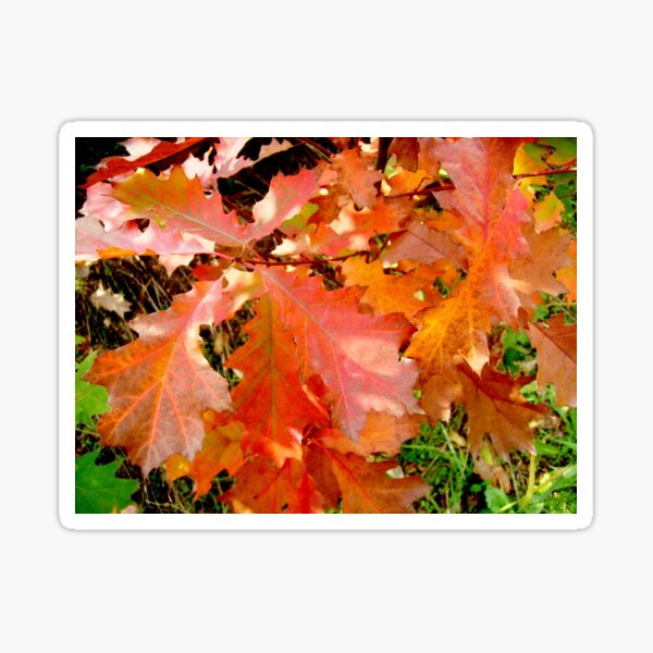 Item preview, Autumn  leaves designed and sold by Ana Belaj.