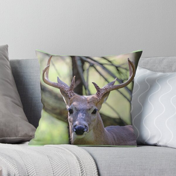 Item preview, White Tailed Buck Portrait II designed and sold by Deb Oppermann.