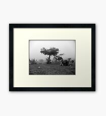 Nomad Framed Print