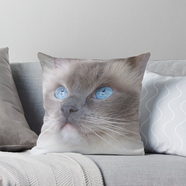Item preview, Fluffy Ragdoll Cat designed and sold by Leon  Wall.