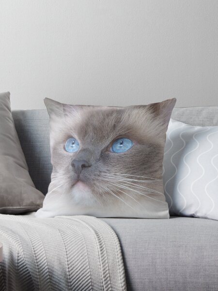 Item preview, Fluffy Ragdoll Cat designed and sold by Leon  Wall.