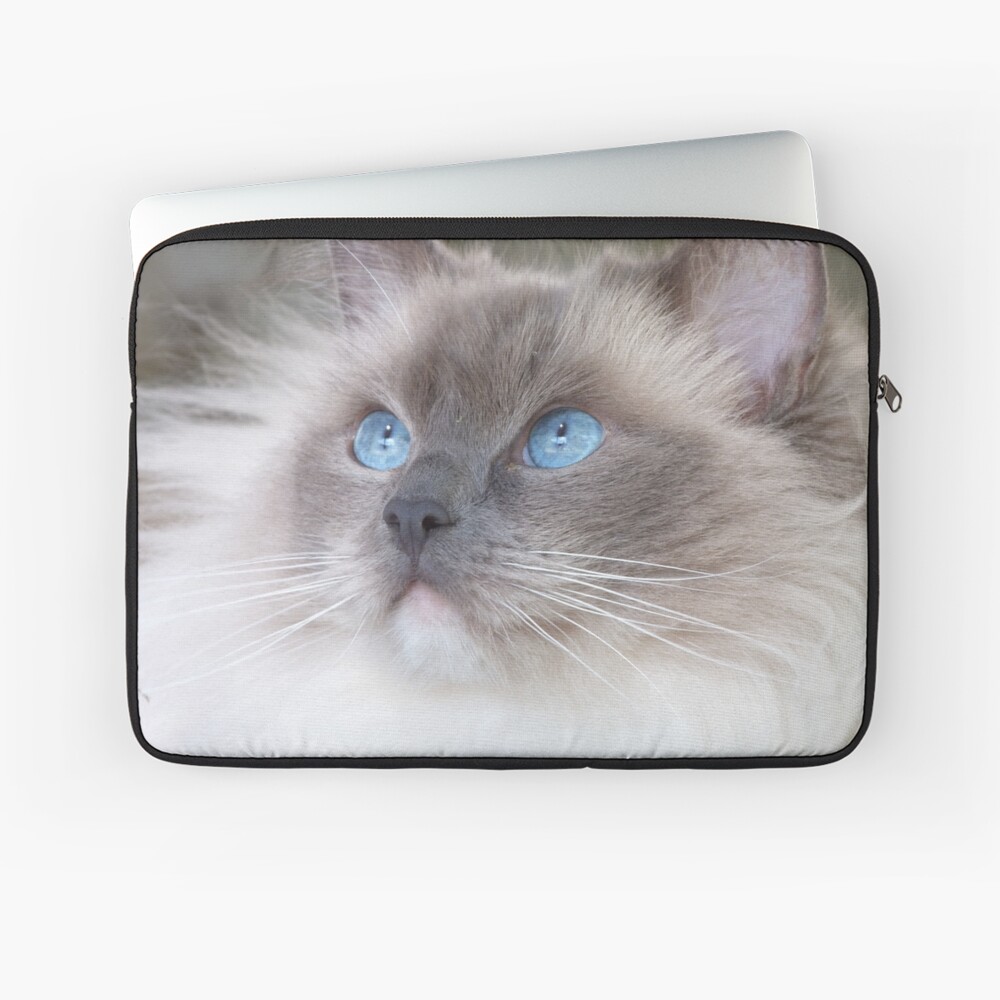 fluffy laptop sleeve