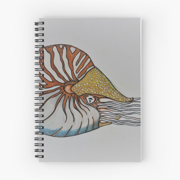 Item preview, Nautilus designed and sold by Laureen Ahern.