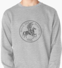 Skinny Peg Seal (Gray) Pullover