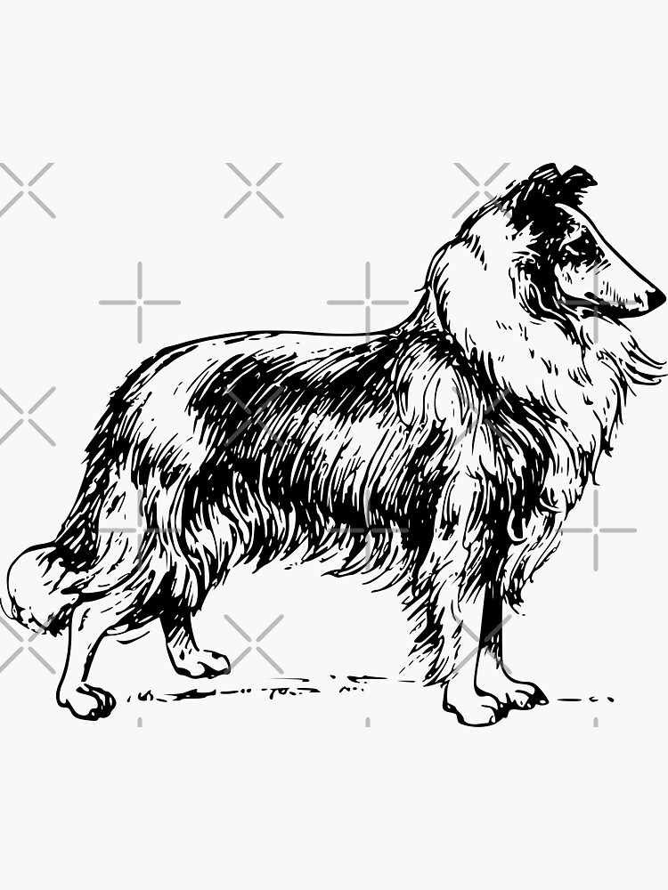 Lassie Dog Window Bumper Decal Sign Pet Gift V01 ROUGH COLLIE Car Sticker 