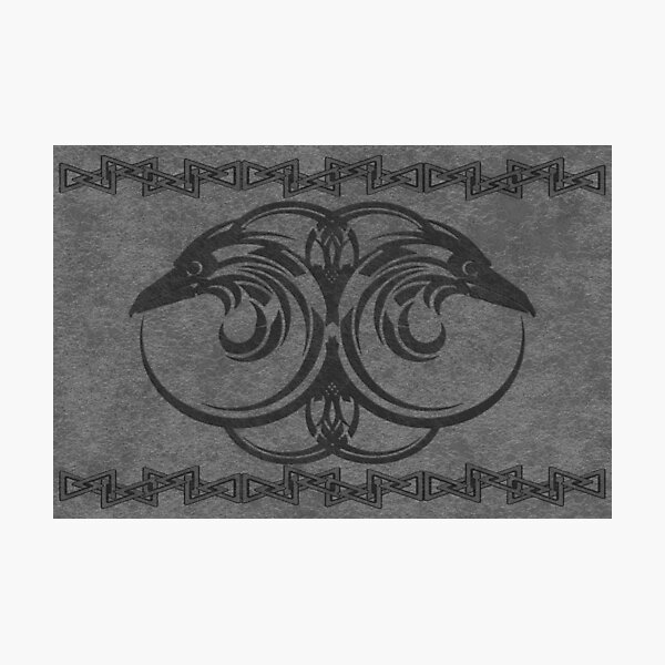 Hugin and Munin - Odin's all seeing eyes Photographic Print