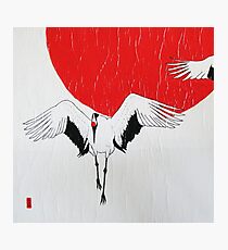 Japanese Crane Photographic Print