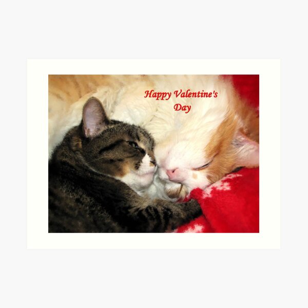 Valentine Kitties Art Print