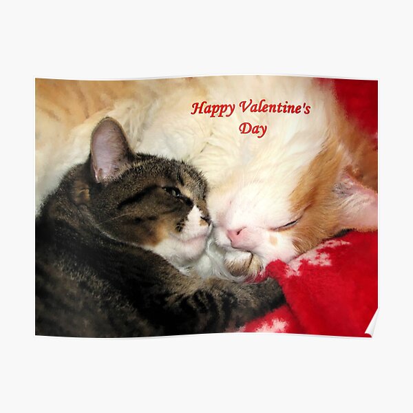 Valentine Kitties Poster