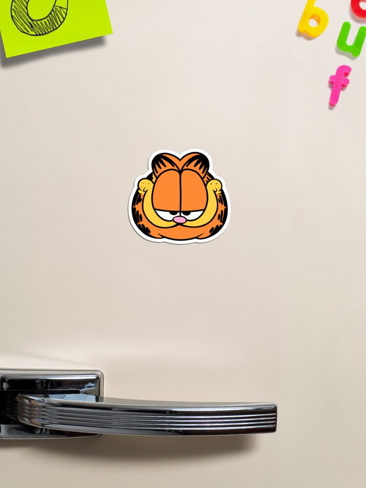 cara de garfield