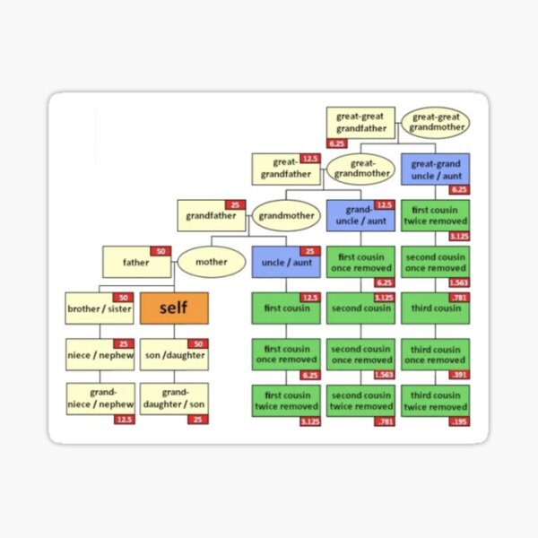 A simple cousin Explainer! Sticker