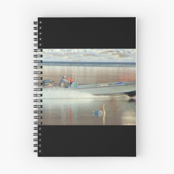 Item preview, Boater vs. Swan (Panorama) designed and sold by Gilda Axelrod.
