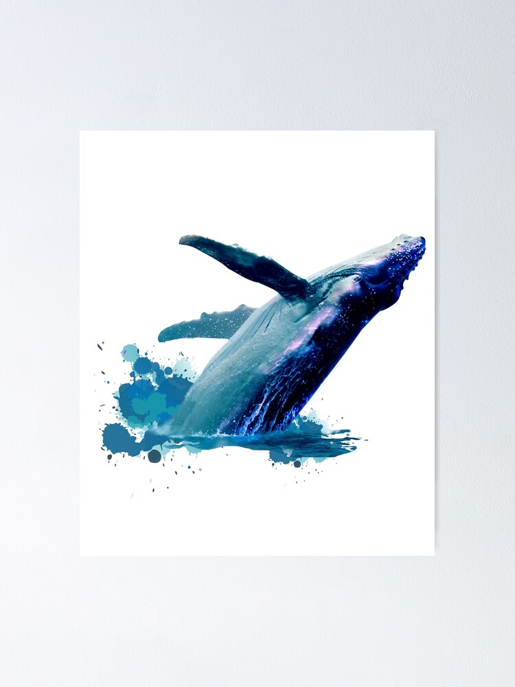 Poster Dessin Aquarelle De Baleine A Bosse Sautante Par Calami Tees Redbubble