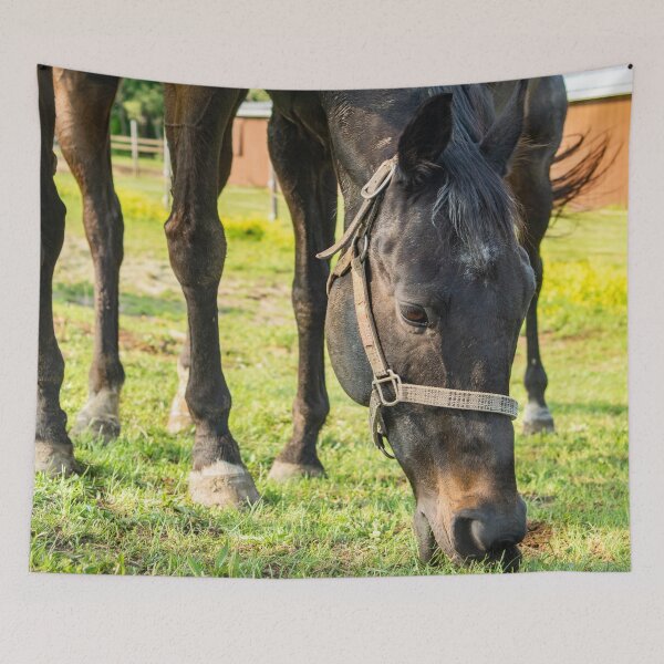 Item preview, Sam at home designed and sold by KensLensDesigns.