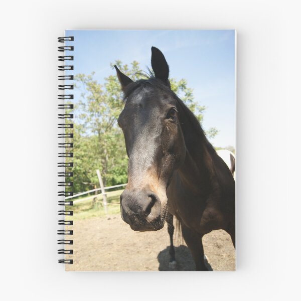 Item preview, stallion man designed and sold by KensLensDesigns.