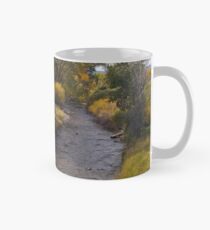 Salida Colorado autumn Mug