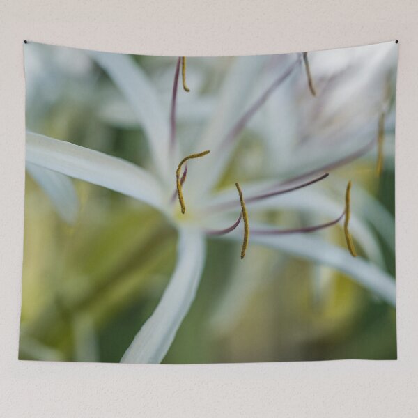 Item preview, crinum asiaticum designed and sold by KensLensDesigns.