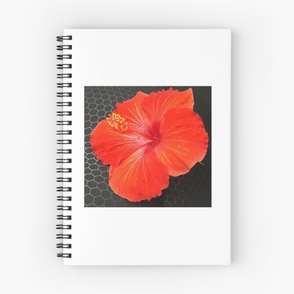 Item preview, RED / ORANGE CAMELLIA WITH YELLOW STAMEN AND RAINDROPS designed and sold by JAYMILO.