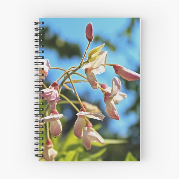 Item preview, Pink Flowers in the Light designed and sold by Gilda Axelrod.