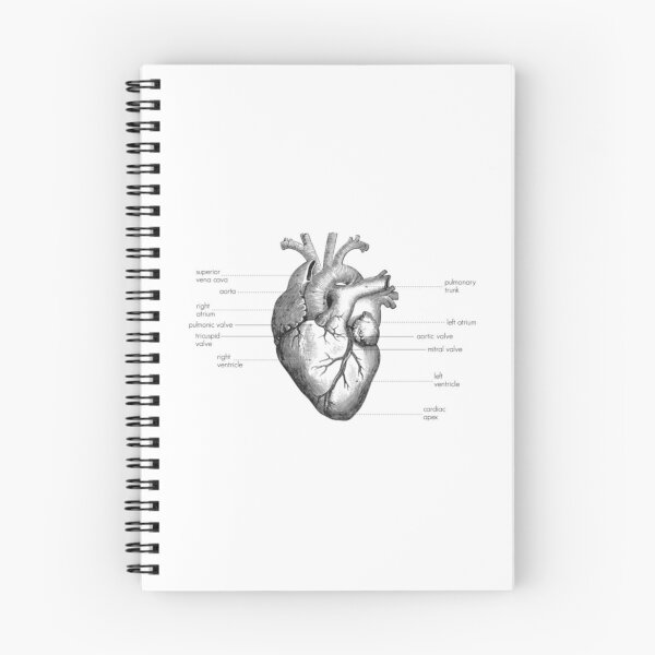 Item preview, Anatomy of the Human Heart designed and sold by PatchworkBox.
