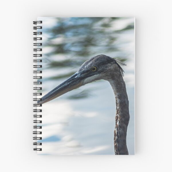 Item preview, headshot of a Great Blue Heron designed and sold by KensLensDesigns.