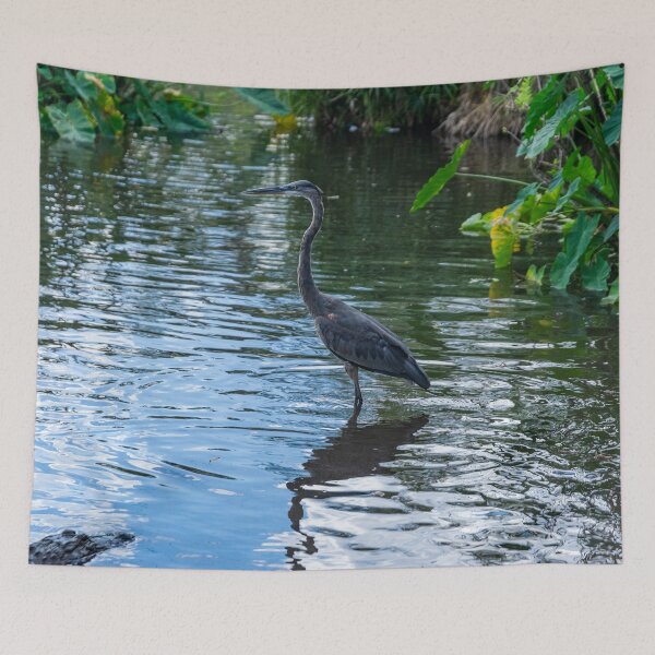 Item preview, Great Blue Heron 3 designed and sold by KensLensDesigns.