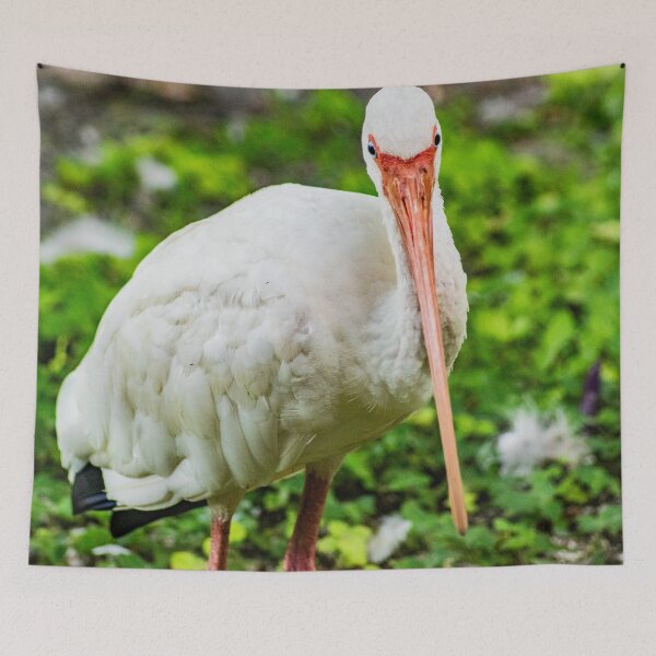 Item preview, The King American white ibis designed and sold by KensLensDesigns.