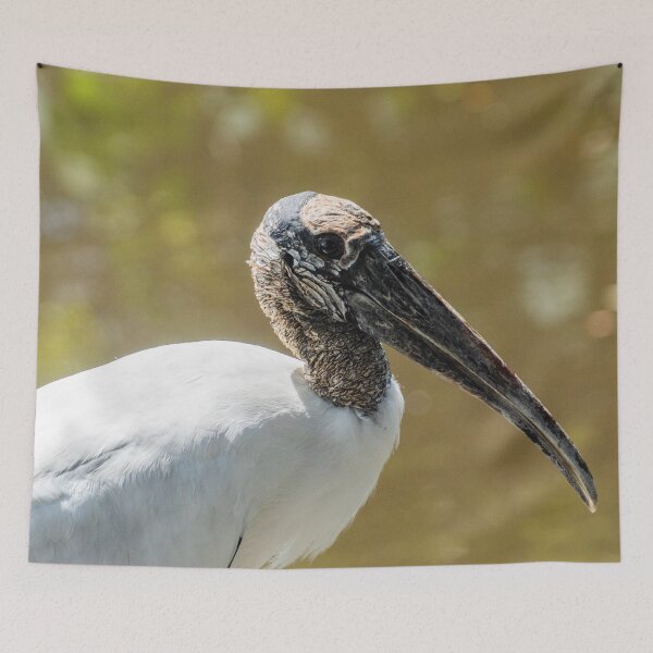 Item preview, Wood stork in  wildlife preserve designed and sold by KensLensDesigns.