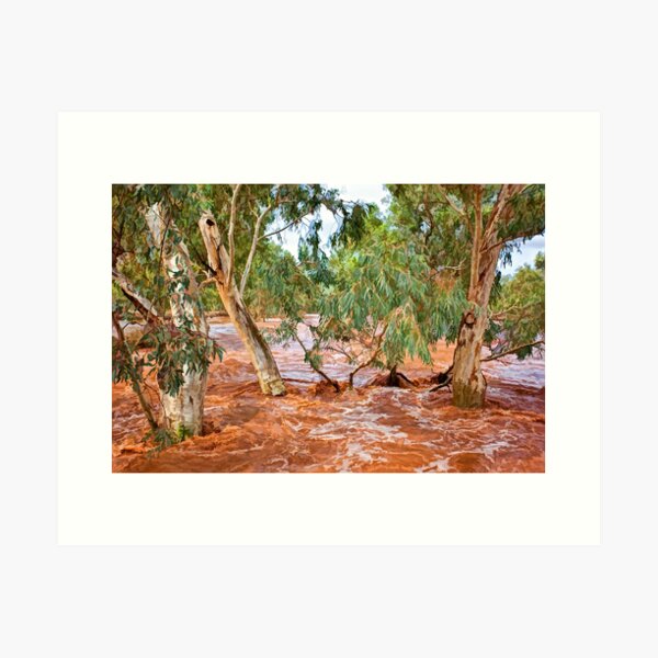 Bush Flood - Alice Springs Art Print
