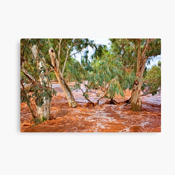 Bush Flood - Alice Springs Canvas Print