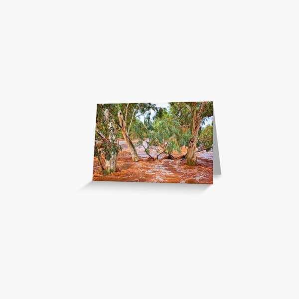 Bush Flood - Alice Springs Greeting Card