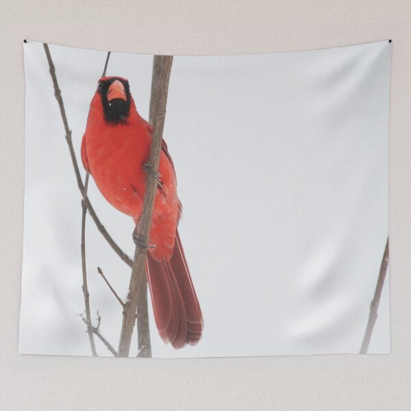 Item preview, Winter Cardinal designed and sold by StampCity.