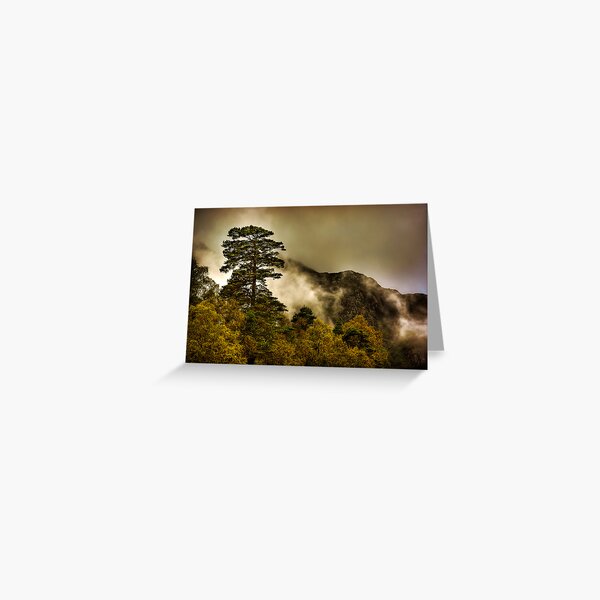 Item preview, The Sentinel designed and sold by Karl Williams.