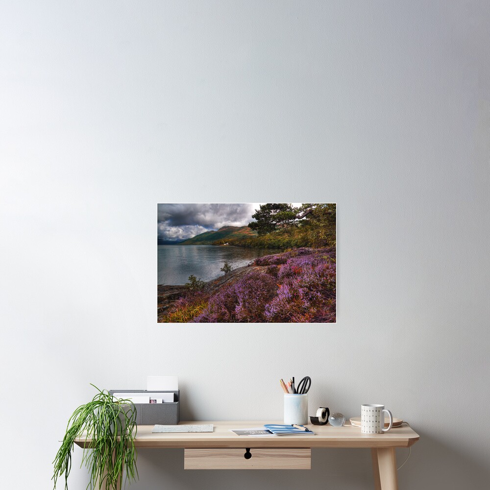 Lomond Heather Poster