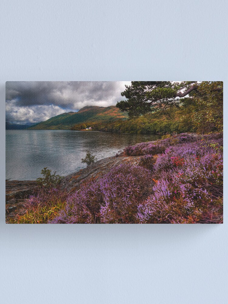 Alternate view of Lomond Heather Canvas Print