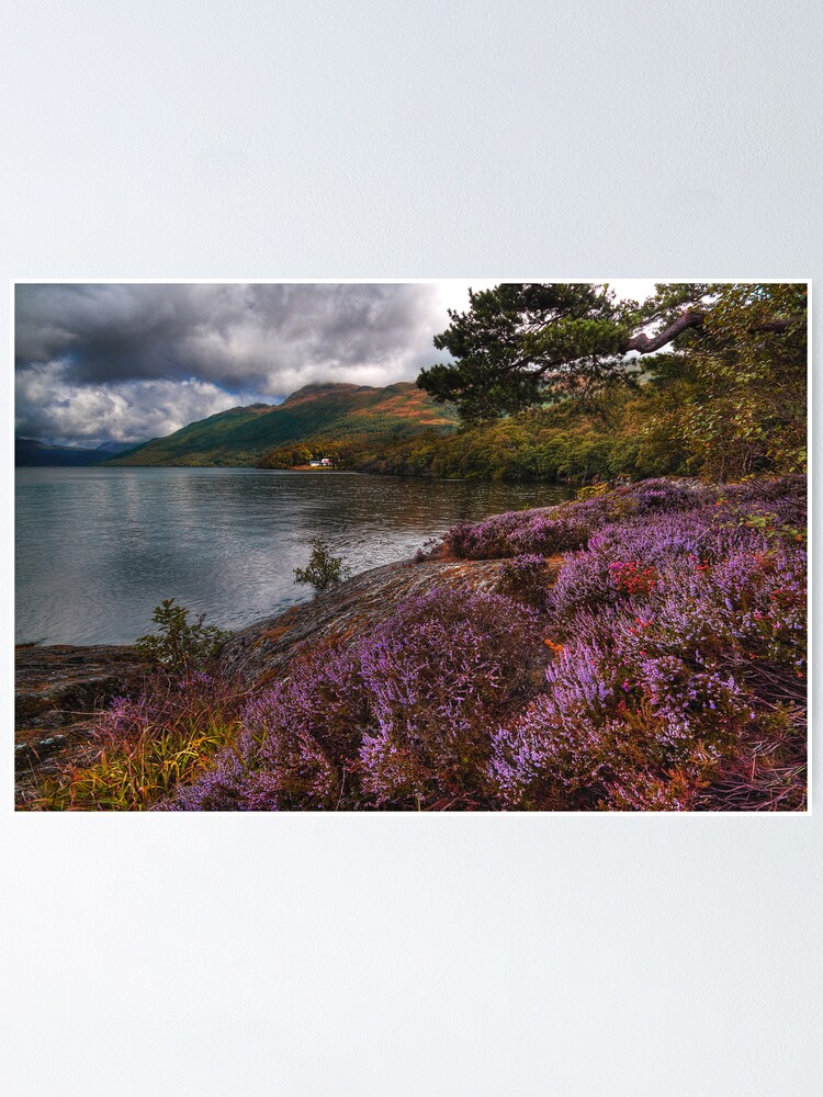 Alternate view of Lomond Heather Poster