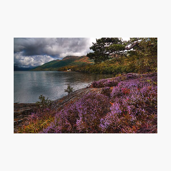 Artikelvorschau,  Loch Lomond

* "karlwilliamsphotography.co.uk": http: //www.karlwilliamsphotography.co.uk* entworfen und verkauft von Karl Williams.