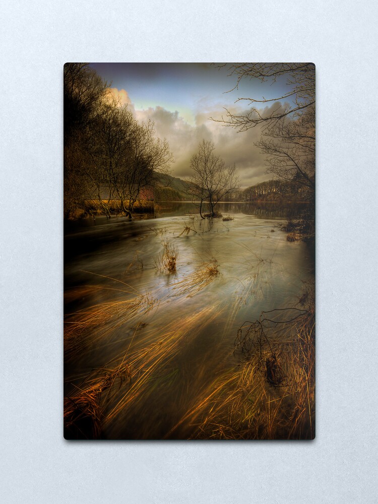 Alternate view of Chon Flow Metal Print