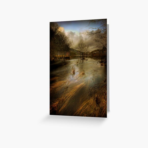 Chon Flow Greeting Card