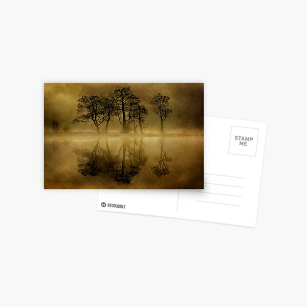 Misty Skeletons Postcard