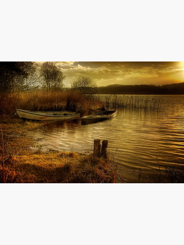 The Boats by Shuggie