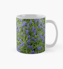 Blue Muscari - Keukenhof Gardens Tasse (Standard)
