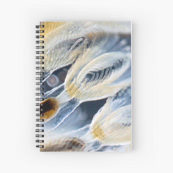 Bryozoa Spiral Notebook