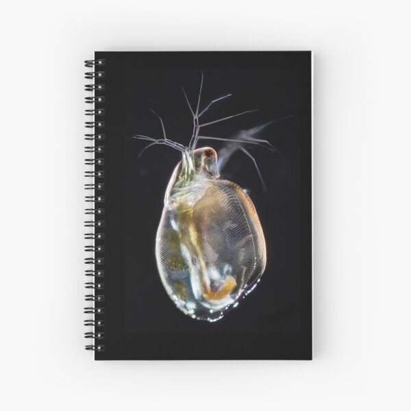 Microscopic water flea Spiral Notebook
