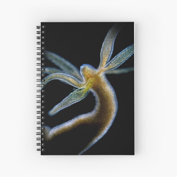 Hydra Spiral Notebook