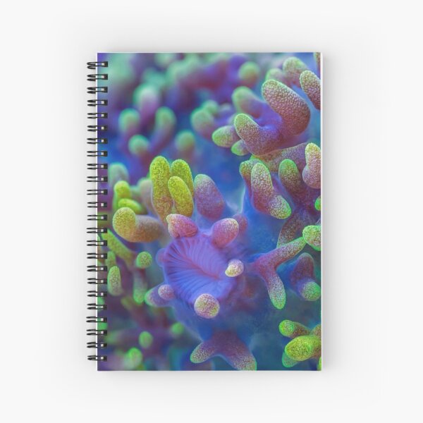 Corallimorph Spiral Notebook