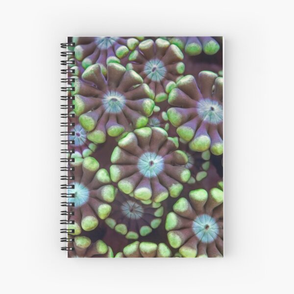 Alveopora coral Spiral Notebook
