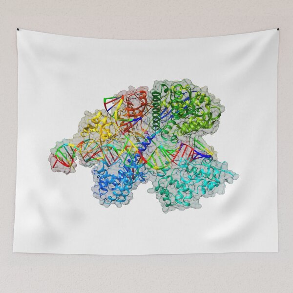 Item preview, CRISPR Cas9 designed and sold by 3D Biology.